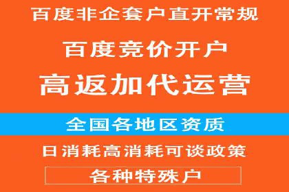 SEM竞价代运营公司案例深度解析